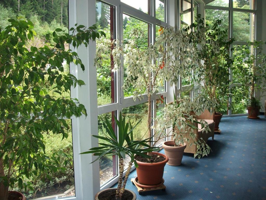 Hotel Am Wald -Garni- Elgersburg Εξωτερικό φωτογραφία